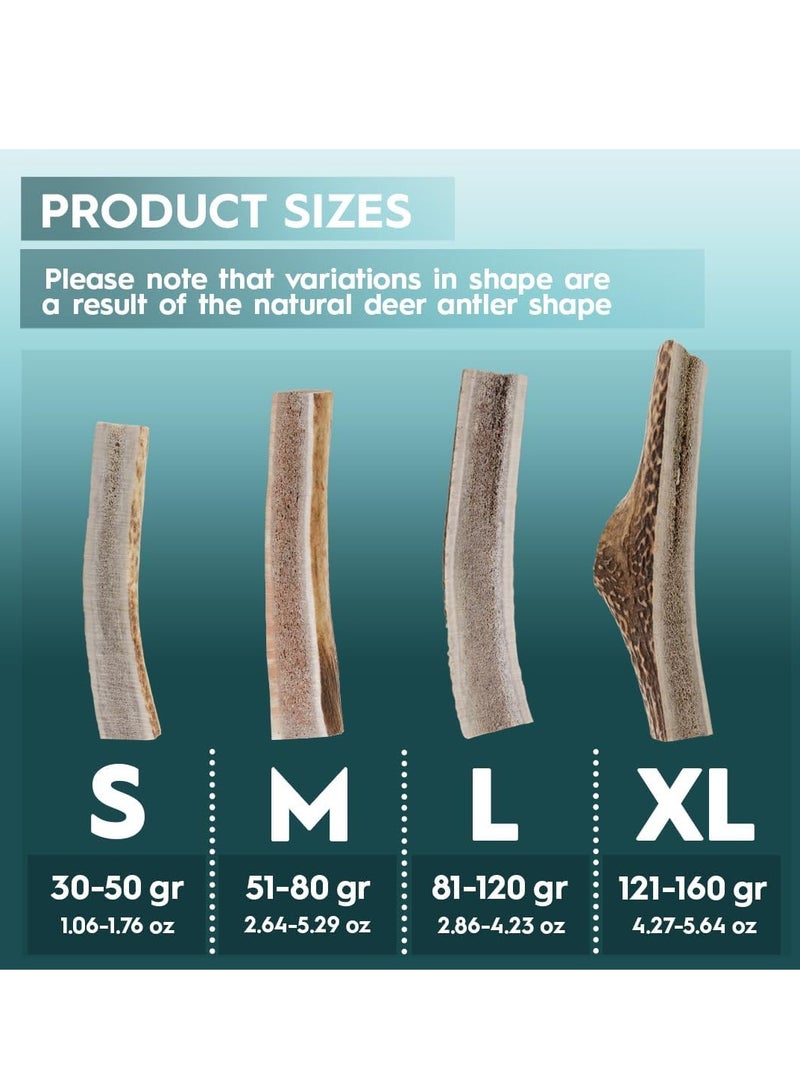 PET Split Antler Chews For Dogs All Natural Dog Chews Long Lasting Elk Antler Bones for Dog Durable Deer Antlers For Dogs 1pc S Size Deer Antlers - Image 4