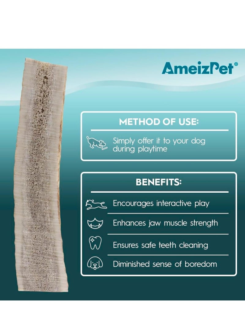 PET Split Antler Chews For Dogs All Natural Dog Chews Long Lasting Elk Antler Bones for Dog Durable Deer Antlers For Dogs 1pc S Size Deer Antlers - Image 5