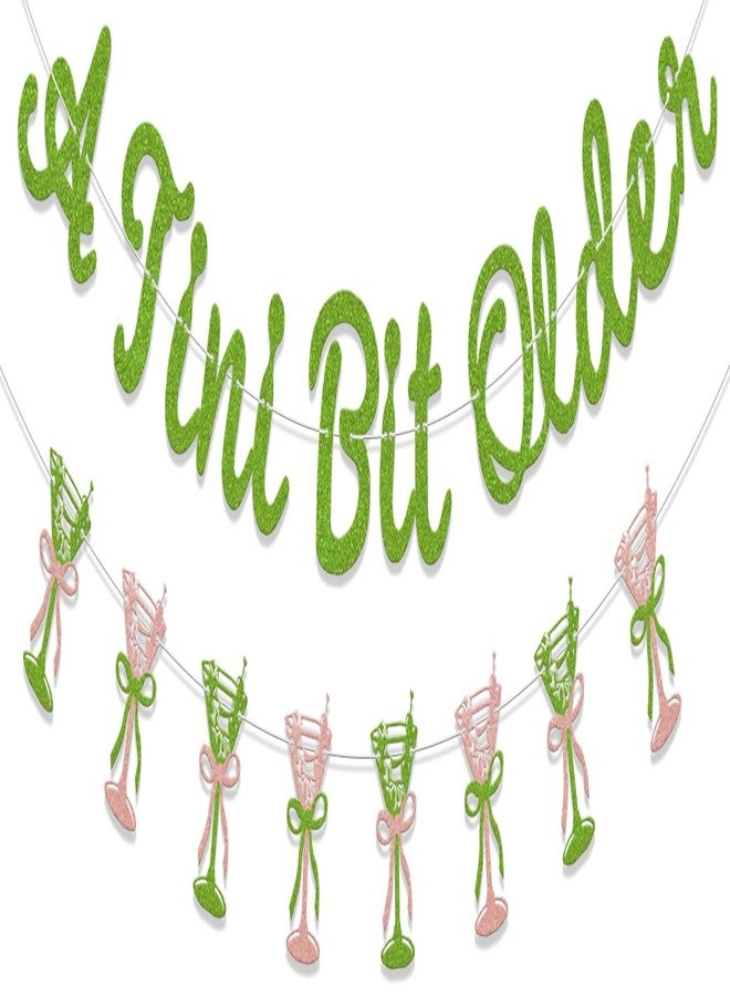 WFKLDF A Tini Bit Older Banner - A Tiny Bit Older Birthday Decorations - Martini Birthday Decorations Green - Image 1