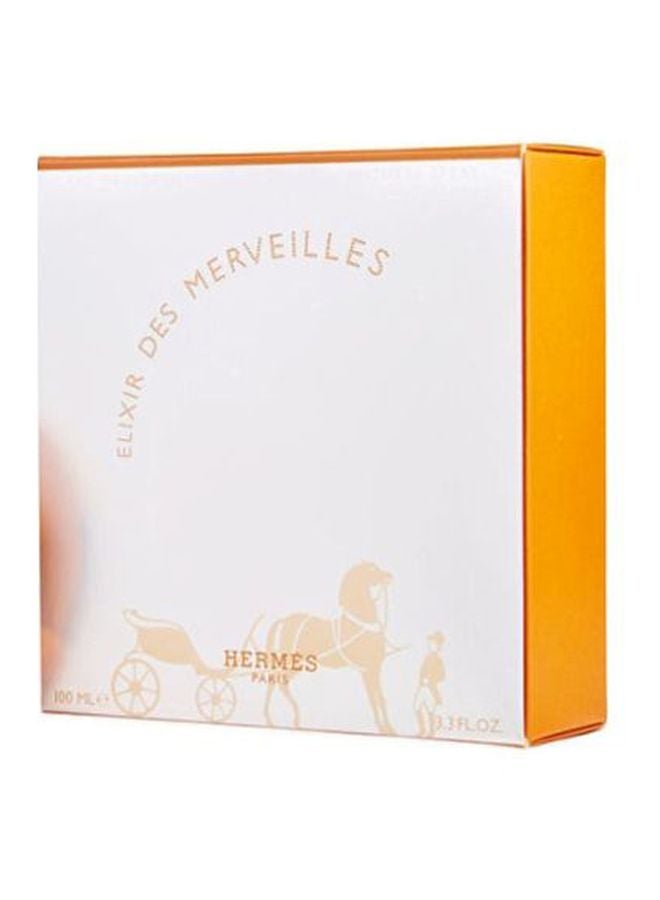 HERMES Eau Des Merveilles Elixir EDP - Image 3