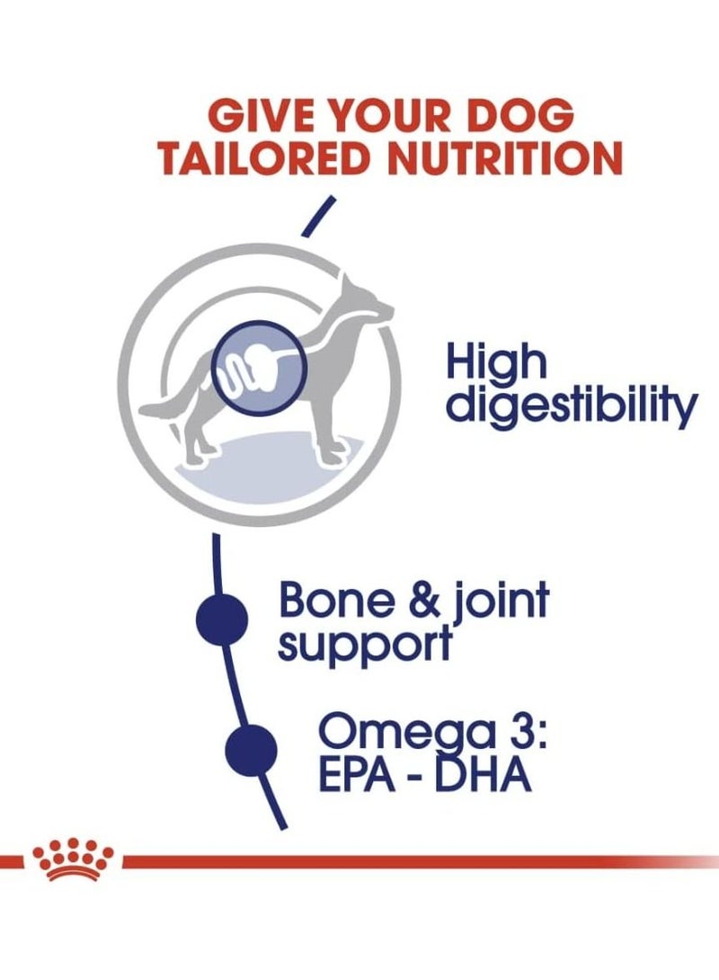 رويال كانين ماكسي الكبار - Image 2