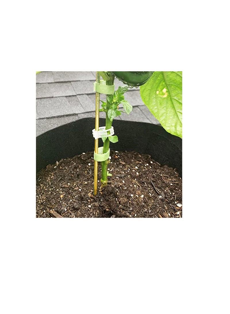 20 Pcs 18 Inch Natural Bamboo Plant Support Stakes for Indoor Plants, Bamboo Sticks Poles Garden Bamboo Stakes for Potted Plants, Tomato, Beans - Image 3