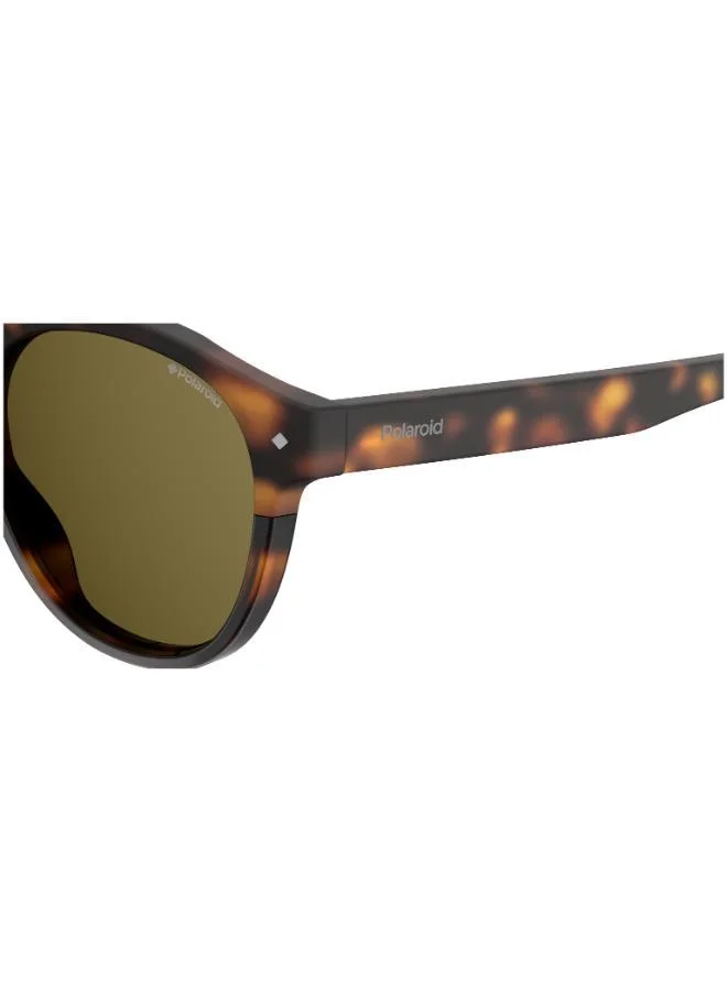 Polaroid  Wayfarers Sunglasses  | Best Price UAE