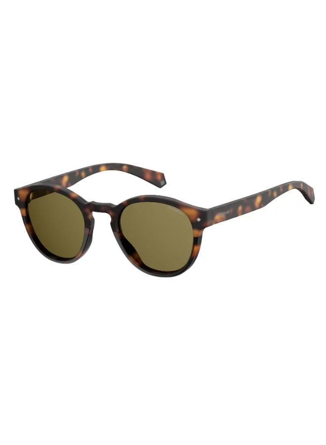Polaroid Wayfarers Sunglasses