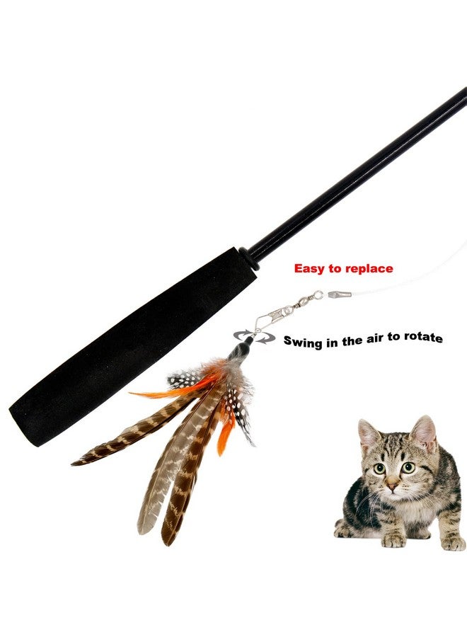 TIENAILING Cat Feather Toys Refills Cat Wand Replacement, 6 Pcs Handmade Natural Da Bird Feathers Refill, Cat Toy Feather Replacement For Indoor Cats (B) - Image 3