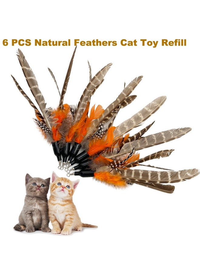 TIENAILING Cat Feather Toys Refills Cat Wand Replacement, 6 Pcs Handmade Natural Da Bird Feathers Refill, Cat Toy Feather Replacement For Indoor Cats (B) - Image 2