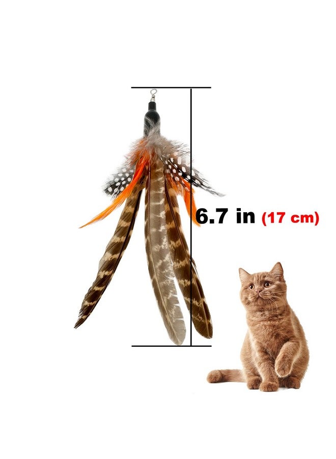 TIENAILING Cat Feather Toys Refills Cat Wand Replacement, 6 Pcs Handmade Natural Da Bird Feathers Refill, Cat Toy Feather Replacement For Indoor Cats (B) - Image 4