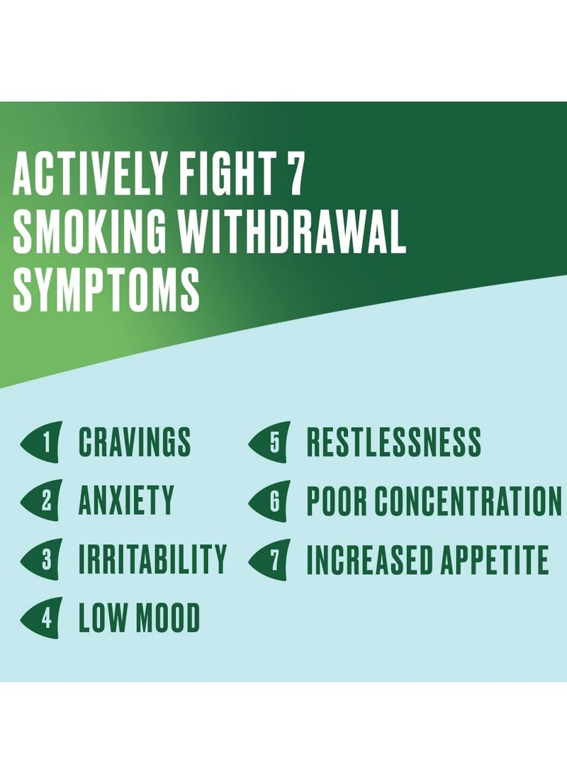 nicorette Fruitfusion 2 Mg Gum Nicotine 105 Pieces  - Image 3