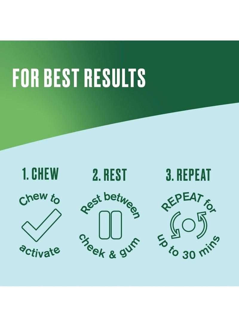 نيكوريت علكة بنكهة الفاكهة 2 مج 105 قطعة - Image 3