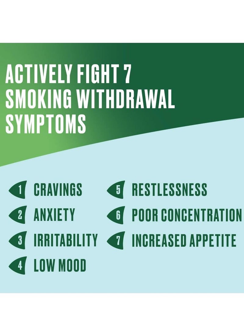 نيكوريت علكة بنكهة الفاكهة 2 مج 105 قطعة - Image 4