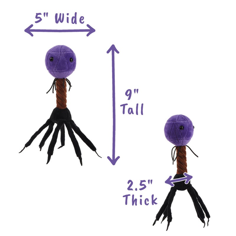 Giant Microbes T4 (T4-Bacteriophage) Plush Toy - Image 4