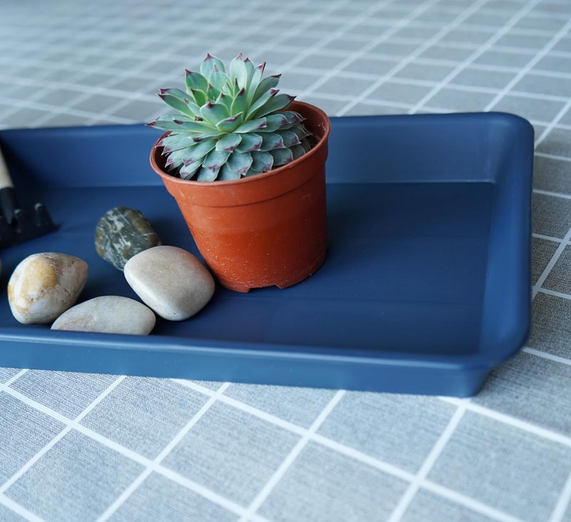 VUWEZ 6 Pack of Plastic Plant Trays, Rectangular Plant Saucers for Indoors Outdoor, Water Drip Trays for Flower Pot Planter, Windowsill (6 X 11 Inch, Blue) - Image 3