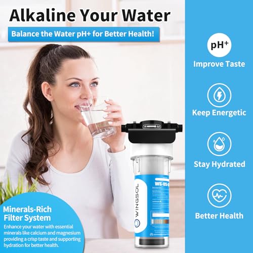 WINGSOL WINGSOL Under Sink Water Filter Replacement with Multi Layer Pleated Material, Removes 99.99% Chlorine, Lead, Heavy Metals, Odors/Contaminants, Model# WS-USRF-001 advanced: Lead Reducer - Image 3