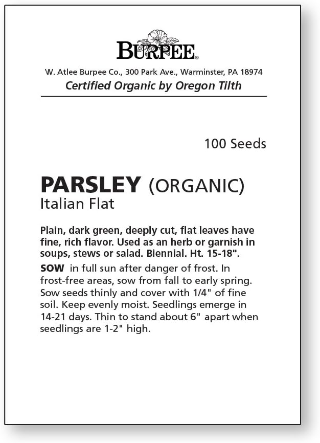 Burpee Italian Flat Organic Parsley Seeds 100 seeds - Image 2