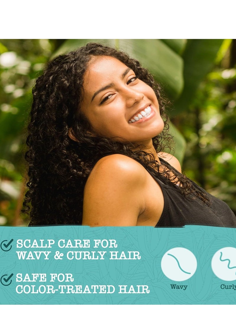 MAUI MOISTURE Maui Moisture Scalp Care Clarifying Shampoo, Apple Cider Vinegar Curly Hair Shampoo Moisturizes & Removes Scalp Build-Up, Sulfate-Free Surfactants, 13 fl. Oz  - Image 4