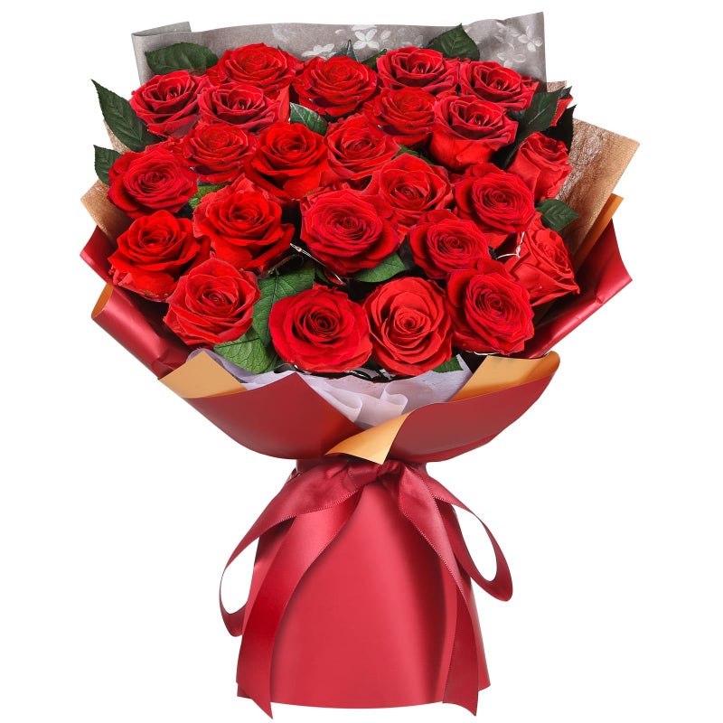 ADDWel 24 Preserved Real Red Rose Bouquet LongLasting Flowers for Her and Romantic Gifts for Wife Girlfriend Two Dozens Forever Fresh Roses for Delivery Prime