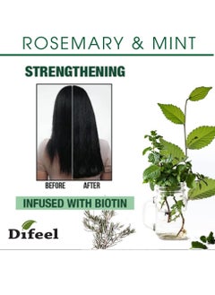 difeel Difeel Elevated Rosemary Mint Hair Conditioner with Biotin 12 oz. - Made with Natural Rosemary & Mint to Strengthen Dry, Damaged Hair, Promote Growth, Smooth Split Ends & Moisturize Dry Scalp  - Image 4