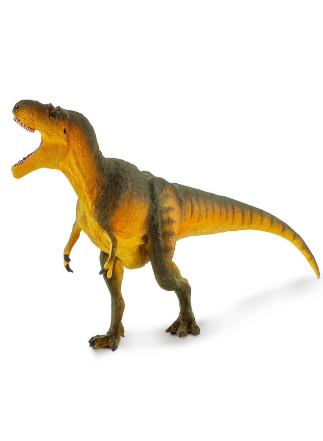 Safari Ltd. Daspletosaurus Figurine - Detailed 9" Dinosaur Figure - Educational Toy for Boys, Girls, and Kids Ages 3+ - Image 5