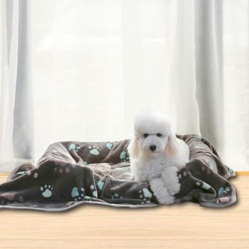 KUTKUT 350 GSM Luxurious Dog Blanket, Super Soft Warm Fluffy Microplush Flannel Pet Blanket for Small Medium Large Cats, Warm Soft SleepMat Cage Liners (Size: S, 76 * 52cm) - Image 3