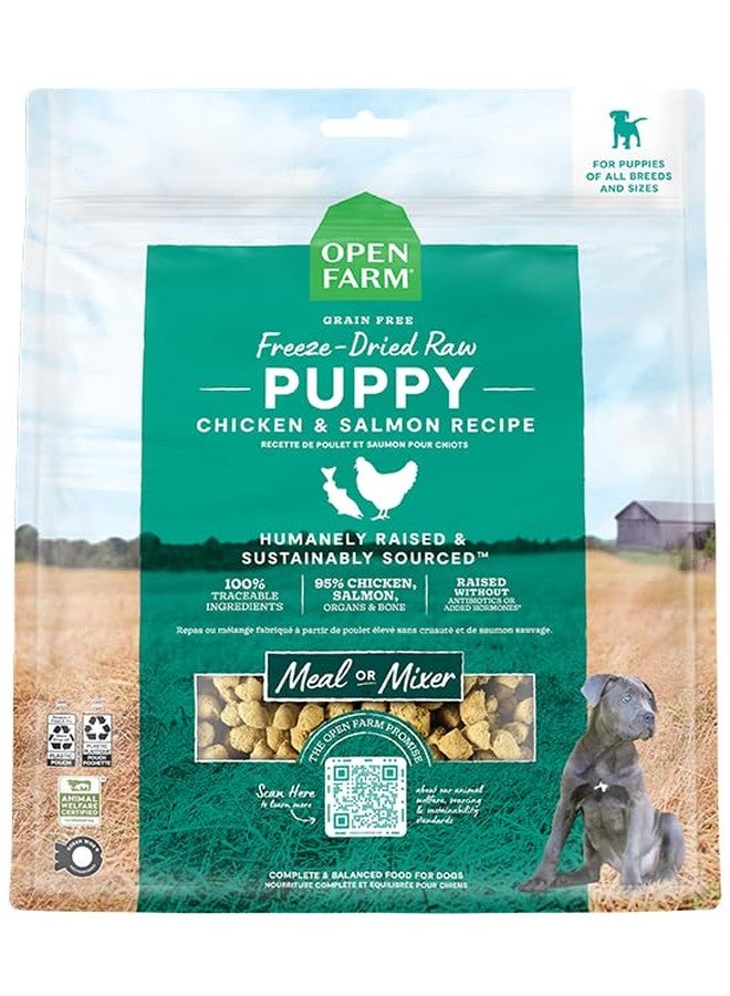 Open Farm, Freeze Dried Raw Puppy Food, Morsels with 95% Meat, Organs & Bone, Organic Produce & Superfoods, Complete Meal or Freeze Dried Dog Food Topper, Chicken & Salmon Puppy Recipe, 13.5oz Bag - Image 1