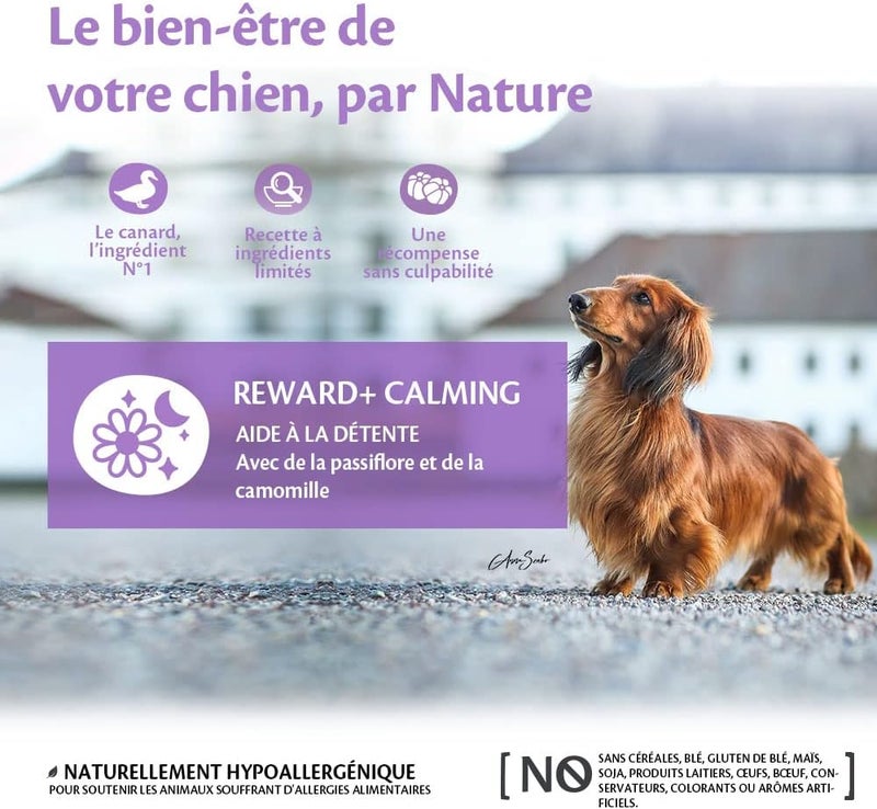 Wellness CORE Reward+ Duck & Chamomile, 170 g, Gentle Dog Treats for Reward, No Added Sugar, Grain-Free, with High Meat Content, Promotes Calming Your Dog - Image 3