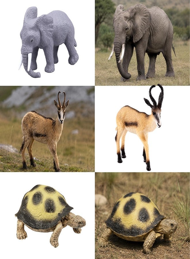 Sienon 21Pcs African Safari Animal Figures Wild Zoo Toys with Booklet for Kids - Image 5