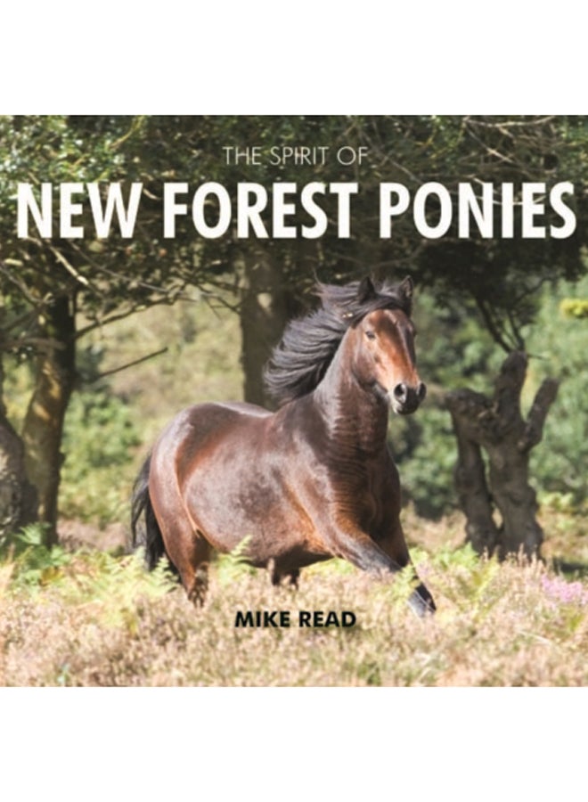 The Spirit of New Forest Ponies 