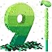WinnerWhy Number Piata Decorations 16 Inch Gradient Green Piata with Blindfold Stick and Confetti for Birthday Baby Shower Safari Jungle Themed Party Supplies CenterpieceNumber 9 - Image 2