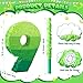 WinnerWhy Number Piata Decorations 16 Inch Gradient Green Piata with Blindfold Stick and Confetti for Birthday Baby Shower Safari Jungle Themed Party Supplies CenterpieceNumber 9 - Image 4