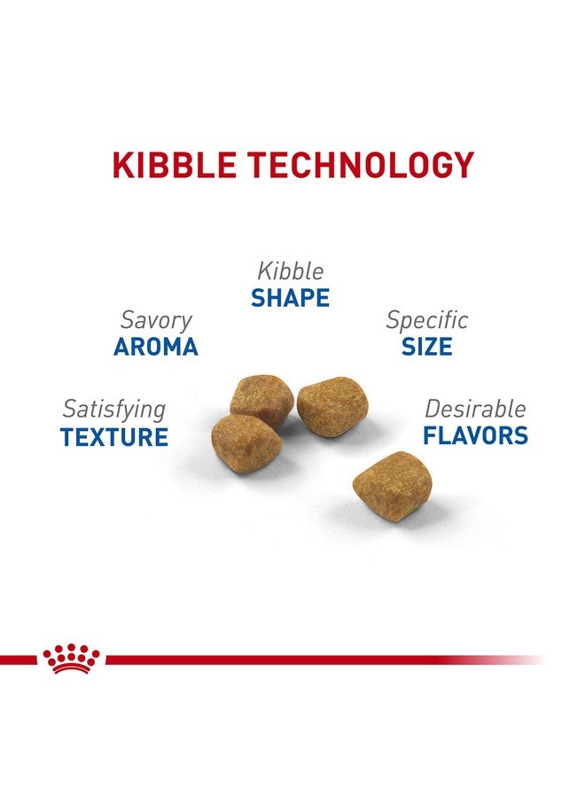 Royal Canin Indoor 7+ Adult Dry Cat Food, 2.5 lb bag - Image 2