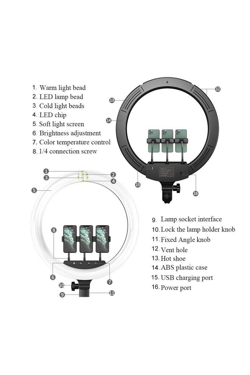 BlueFire Professional 21 Inch LED Ring Light (54 cm) with 3 Phone Holders, Remote & Button Control, Adjustable Color Temperature 2700K-6500K, Stepless Brightness, Cold/Warm/Mixed Light, Complete Kit with Power Cable & Tripod – Perfect for Makeup, YouTube, TikTok, Live Streaming & Photography - Image 5