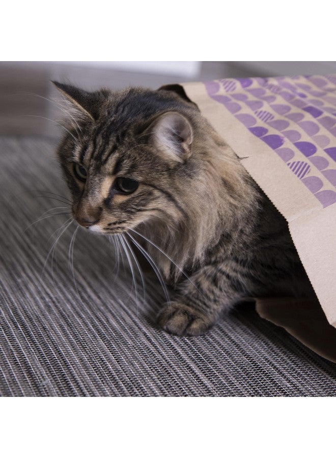 سمارتيكات سمارتي كات (عدد 2 من ألعاب القطط بنكهة النعناع البري من كاتنيف - بني، عدد 2) - Image 5