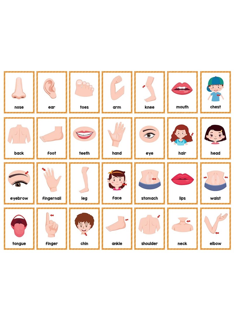 بطاقات كلمات تعلم اللغة الإنجليزية للأطفال، معلمو رياض الأطفال، أدوات تعليمية للتعليم المبكر، مفردات، لوازم الفصل الدراسي - Image 2