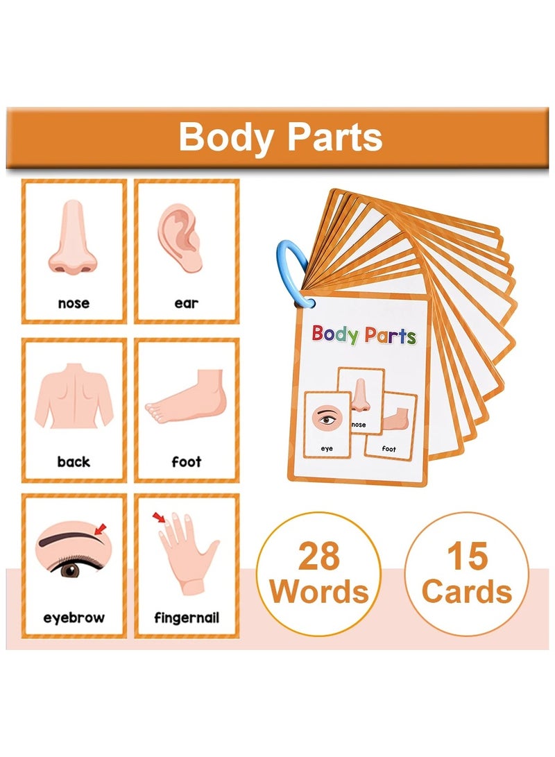 بطاقات كلمات تعلم اللغة الإنجليزية للأطفال، معلمو رياض الأطفال، أدوات تعليمية للتعليم المبكر، مفردات، لوازم الفصل الدراسي - Image 1