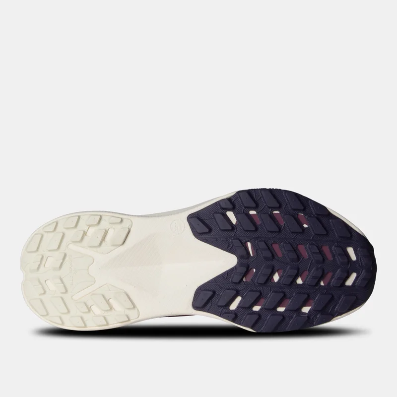 THE NORTH FACE Women's Altamesa 300 Trail Running Shoes