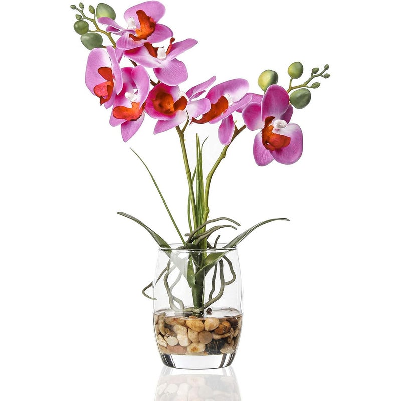 Jusdreen Artificial Purple Orchid in Glass Vase, Realistic Phalaenopsis Arrangement with Potting for Home Office Table Decor, 14.5 Inch Flower Centerpiece - Image 1