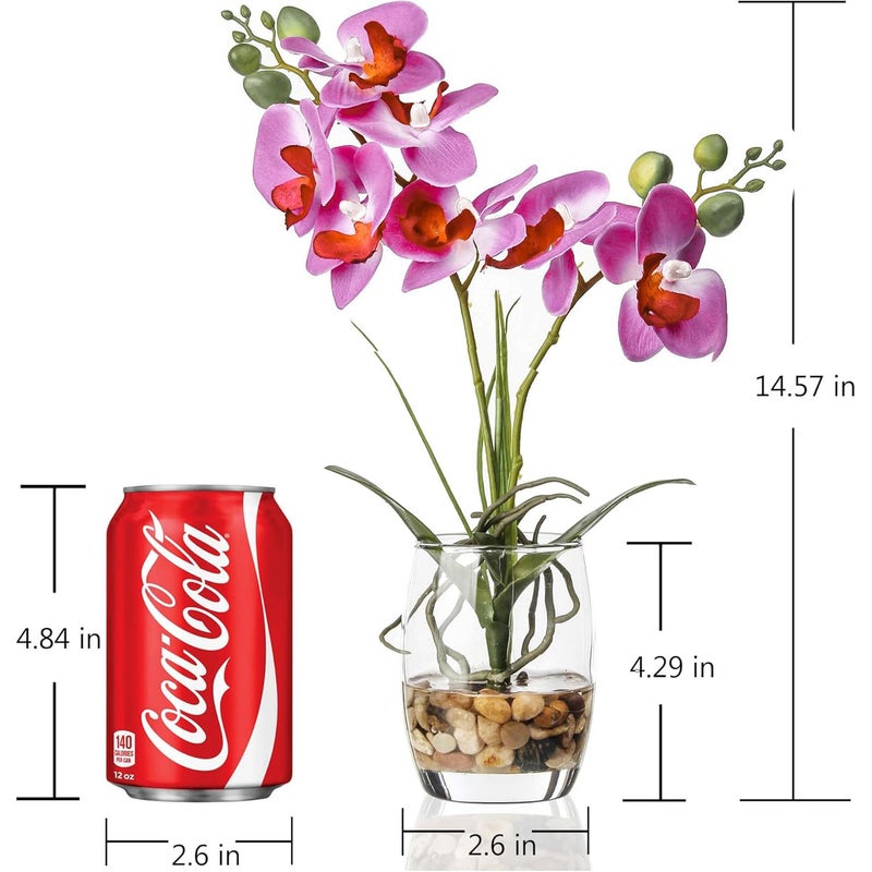 Jusdreen Artificial Purple Orchid in Glass Vase, Realistic Phalaenopsis Arrangement with Potting for Home Office Table Decor, 14.5 Inch Flower Centerpiece - Image 2
