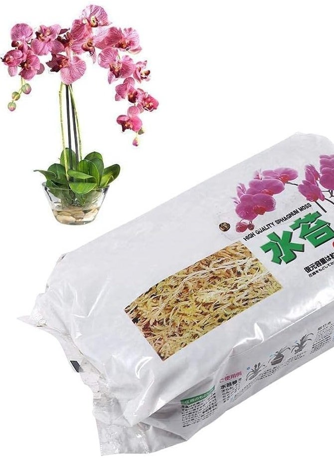 Generic Moss Potting Mix for Succulent -  Moss for indoor Plants  - Image 1