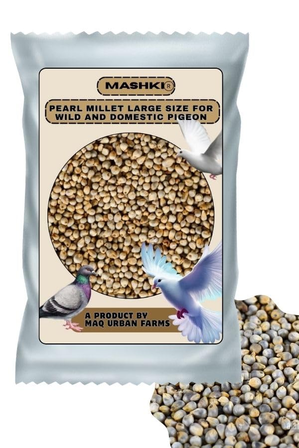 MASHKI Premium White Pearl Millet Bird Food, Natural Seeds for All Birds (5 KG) - Image 1