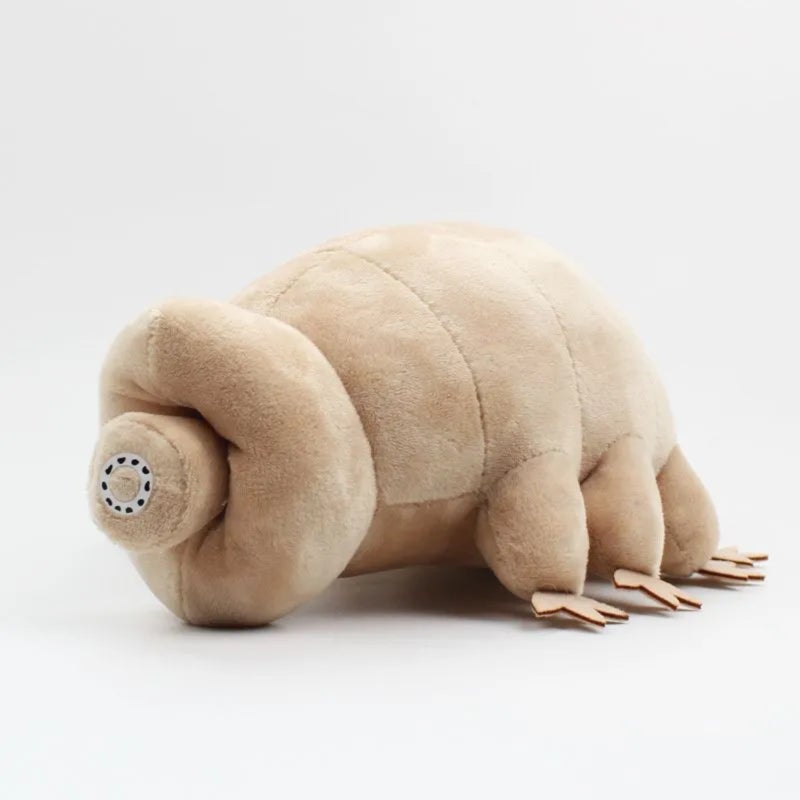 Tardigrade Plush 25cm Khaki Ultra-Soft Velvety Fabric - Scientifically Accurate Educational Toy for Nature Lovers Classrooms And Quirky Collectors - Image 2