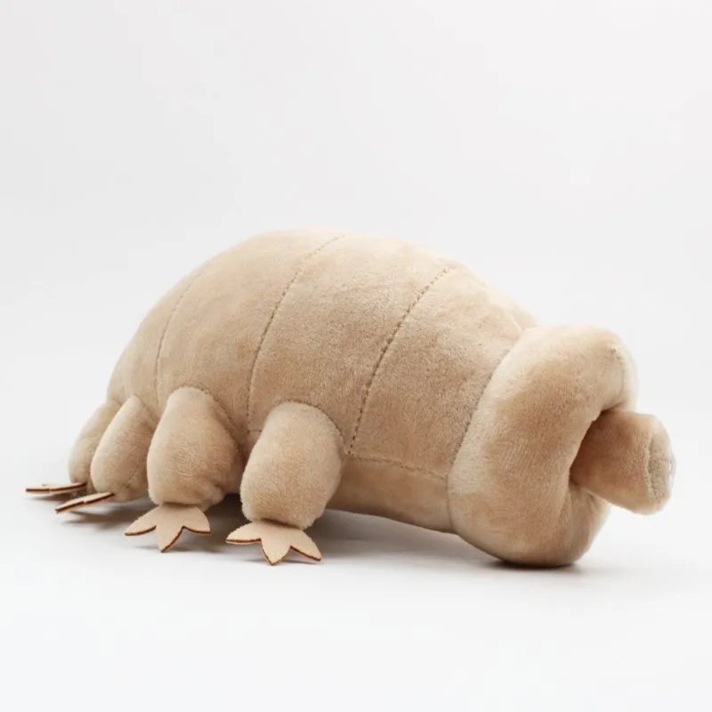 Tardigrade Plush 25cm Khaki Ultra-Soft Velvety Fabric - Scientifically Accurate Educational Toy for Nature Lovers Classrooms And Quirky Collectors - Image 5