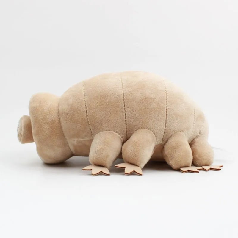 Tardigrade Plush 25cm Khaki Ultra-Soft Velvety Fabric - Scientifically Accurate Educational Toy for Nature Lovers Classrooms And Quirky Collectors - Image 4