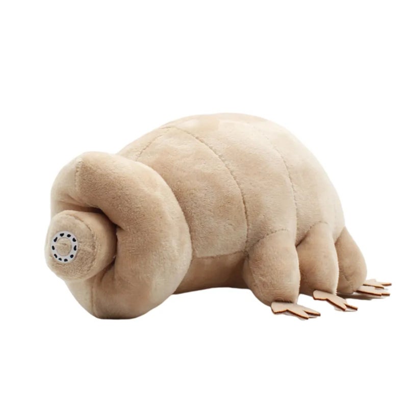 Tardigrade Plush 25cm Khaki Ultra-Soft Velvety Fabric - Scientifically Accurate Educational Toy for Nature Lovers Classrooms And Quirky Collectors - Image 1