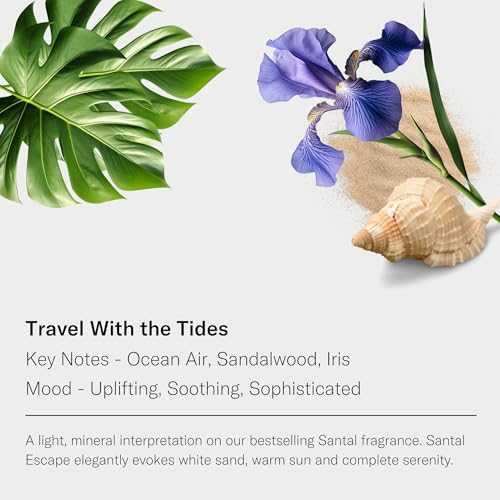 AromaTech Santal Escape Aroma Essential Oil Blend: Luxury Hotel Inspired Aromatherapy with Ocean Air, Sandalwood, Iris for Ultrasonic Diffusers & Nebulizers - 0.3 fl oz, 10 mL - Image 2