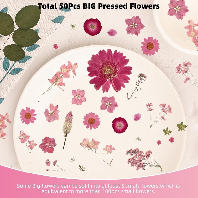 ZMRU 12“ Large Bulk Dried Pressed Flowers for Glass Frame, Real Dry Natural Flower Leaf for Resin Mold, Cake Decor, Holiday Decorations, Phone Cases, Invitations (Pink Fairy) - Image 4