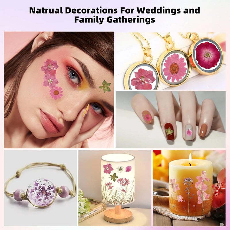 ZMRU 12“ Large Bulk Dried Pressed Flowers for Glass Frame, Real Dry Natural Flower Leaf for Resin Mold, Cake Decor, Holiday Decorations, Phone Cases, Invitations (Pink Fairy) - Image 5