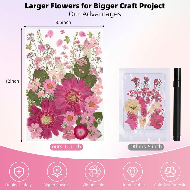 ZMRU 12“ Large Bulk Dried Pressed Flowers for Glass Frame, Real Dry Natural Flower Leaf for Resin Mold, Cake Decor, Holiday Decorations, Phone Cases, Invitations (Pink Fairy) - Image 2