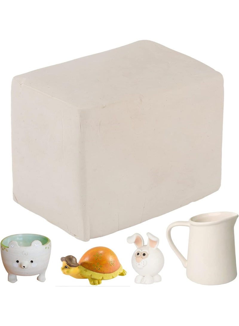 FDTY 1.1 رطل (500 جرام) طين أبيض طبيعي خاص يجف بالهواء - طين فخاري غير سام ذاتي التصلب، طين نحت متعدد الأغراض للأطفال والكبار، النحت، دروس الفنون الخزفية، الحرف اليدوية (مناسب للأطفال من سن 3 سنوات فما فوق) - Image 1