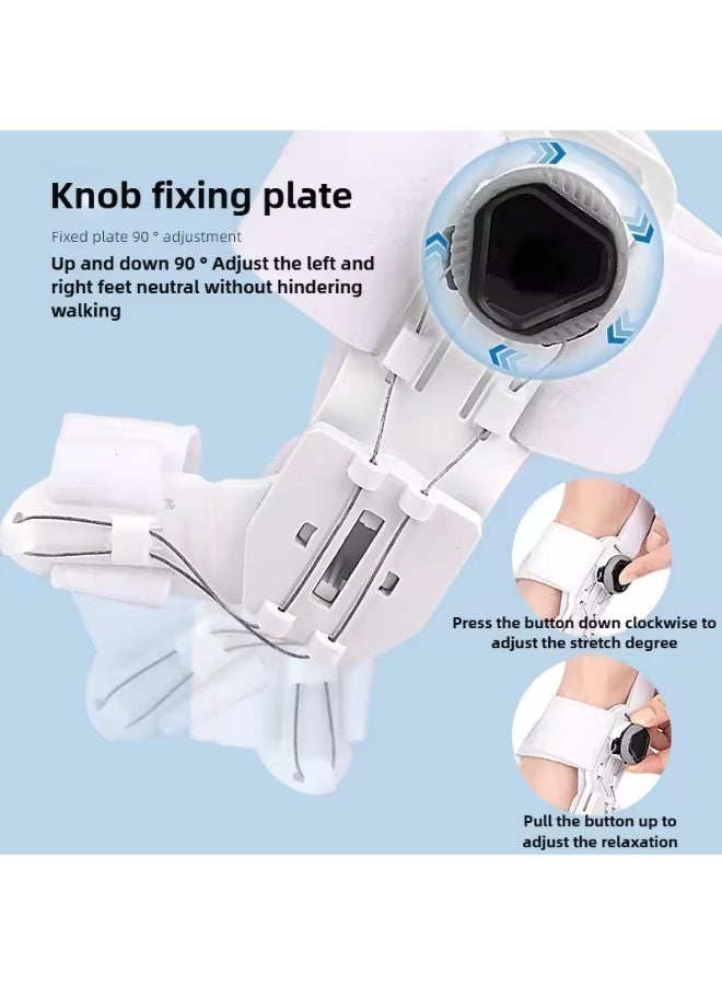 Bunion Corrector for Women & Men, Adjustable Knob Double Correction Separator for Big Toe Relief Bunion Splints Hammer Toe Straightener with Pad Comfortable Effective, 1PCS - Image 2