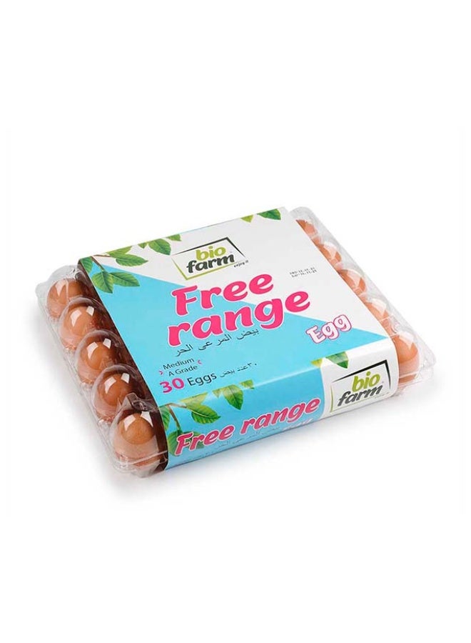 Free Range Eggs, Medium Brown - 30 eggs, Turkey
